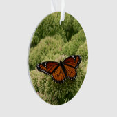 ルイジアナチョウ(Viceroy Butterfly)の美しい自然写真 オーナメント (正面)