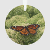 ルイジアナチョウ(Viceroy Butterfly)の美しい自然写真 オーナメント (裏面)
