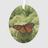 ルイジアナチョウ(Viceroy Butterfly)の美しい自然写真 オーナメント (正面)