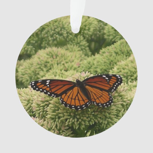ルイジアナチョウ(Viceroy Butterfly)の美しい自然写真 オーナメント (正面)
