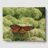 ルイジアナチョウ(Viceroy Butterfly)の美しい自然写真 ゲストブック (裏面)