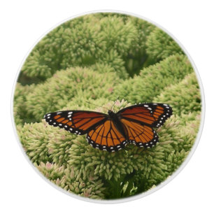ルイジアナチョウ(Viceroy Butterfly)の美しい自然写真 セラミックノブ