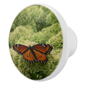ルイジアナチョウ(Viceroy Butterfly)の美しい自然写真 セラミックノブ (右)