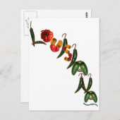 ルイジアナチリペッパー ポストカード (正面/裏面)