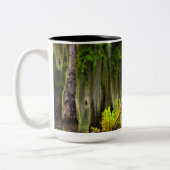 ルイジアナバユー ツートーンマグカップ (左)