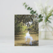 ルイジアナバヨ ポストカード (スタンド正面)