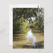 ルイジアナバヨ ポストカード (正面/裏面)