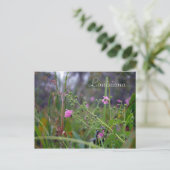 ルイジアナピンク色の花 ポストカード (スタンド正面)