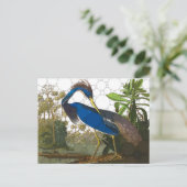 ルイジアナブルーヘロンバイアフタージョンジェームズ・オードボン ポストカード (スタンド正面)