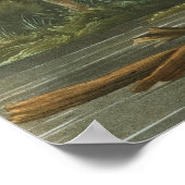 ルイジアナヘロンバイジョンジェームズオードゥボン ポスター (角)