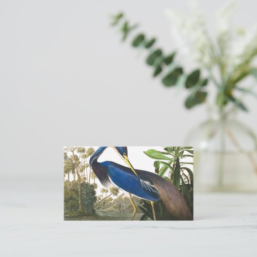 ルイジアナヘロンバイジョンジェームズオードゥボン 名刺 (スタンド正面)