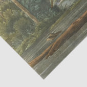 ルイジアナヘロンバイジョンジェームズオードゥボン 薄葉紙 (詳細)