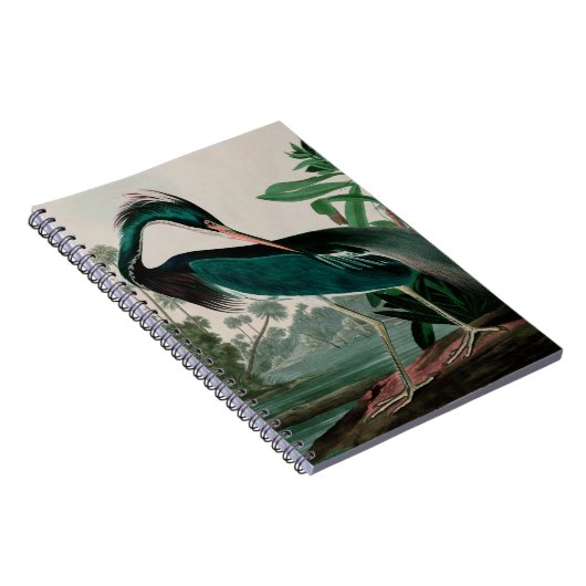 ルイジアナヘロンバーズオブアメリカオードボンプリント ノートブック (右側)