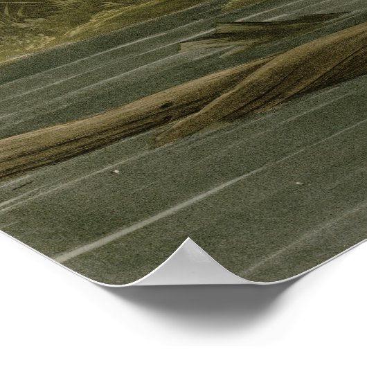 ルイジアナヘロン ポスター (角)