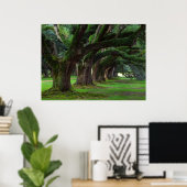 ルイジアナライブオークの木 ポスター (ホームオフィス)