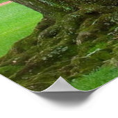 ルイジアナライブオークの木 ポスター (角)