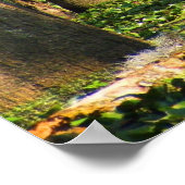 ルイジアナ島の鳥の沼 ポスター (角)