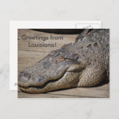 ルイジアナ州からこんにちは ポストカード (正面/裏面)