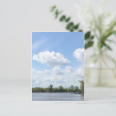 ルイジアナ州のバヨウ ポストカード (スタンド正面)