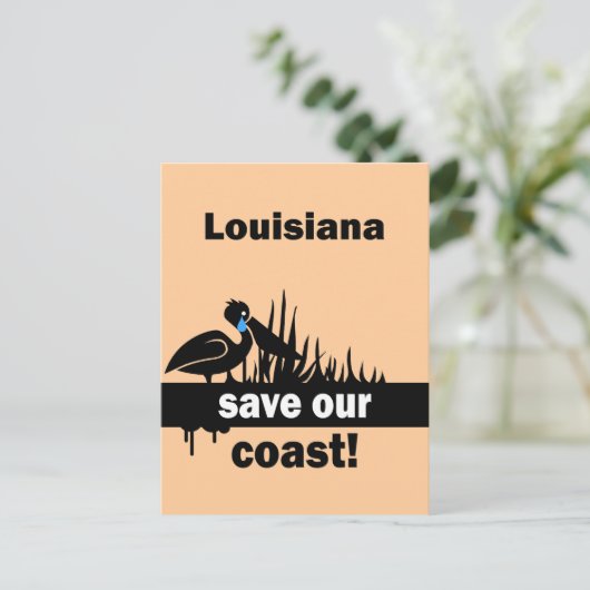 ルイジアナ州の海岸を守れ ポストカード (スタンド正面)