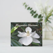 ルイジアナ州の花 白いマグノリアの写真 ポストカード (スタンド正面)