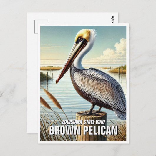 ルイジアナ州バードブラウン ポストカード (正面/裏面)