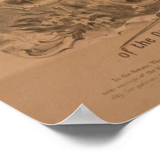 ルイジアナ州憲法・条約加盟国, 1868 ポスター (角)