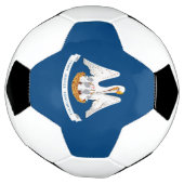 ルイジアナ州旗のダイナミック表示 サッカーボール (回転)