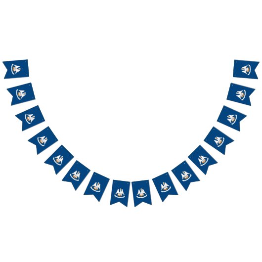 ルイジアナ州旗のダイナミック表示 バンティングフラッグ (全)