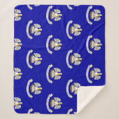 ルイジアナ州旗を持つ愛国心のあるシェルパ毛布 シェルパブランケット (正面)