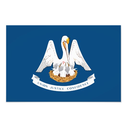 ルイジアナ州旗 フォトプリント            (正面)