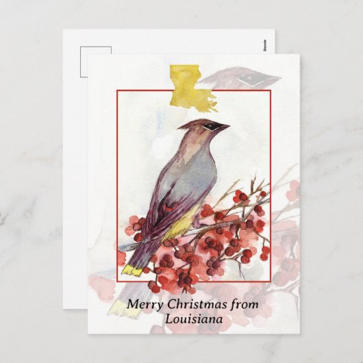 ルイジアナ杉の羽ばたき鳥からのメリークリスマス シーズンポストカード (正面/裏面)