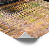 ルイジアナ湿地 ポスター (角)