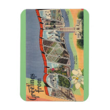 ルイジアナ磁石