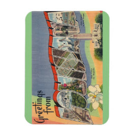 ルイジアナ磁石 マグネット