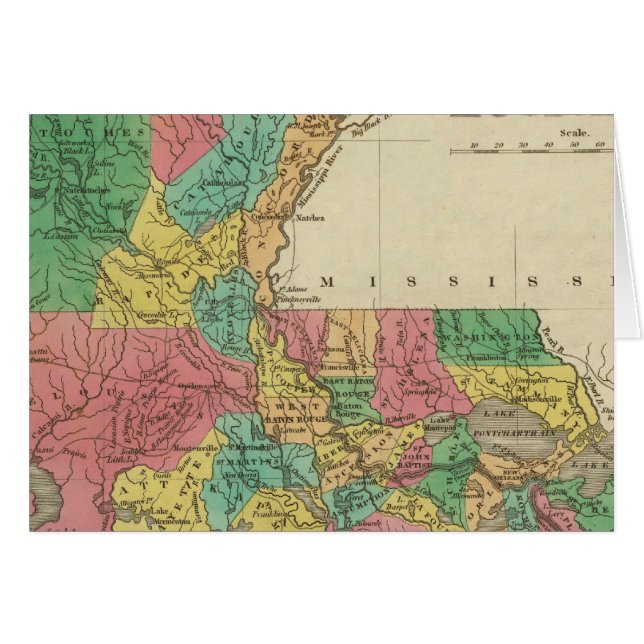 ルイジアナ (正面横)