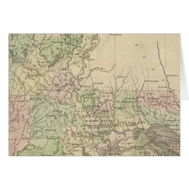 ルイジアナ3 (正面横)