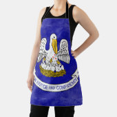 ルイジアナ エプロン (インサイチュ)