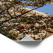 ルイジアナ，ニューオーリンズ，ジャンヌ・アーク ポスター (角)