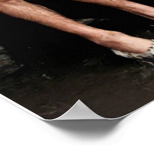 ルイジガンナチェザーレブランビラピエールダネギロディット ポスター (角)