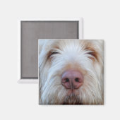 ルイジズブーパー冷蔵庫用マグネット マグネット (正面/裏面)