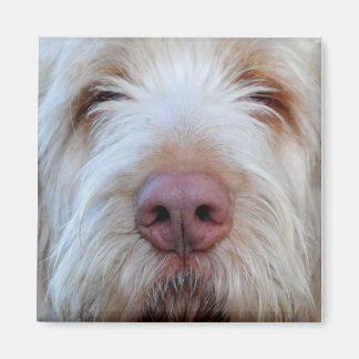 ルイジズブーパー冷蔵庫用マグネット マグネット