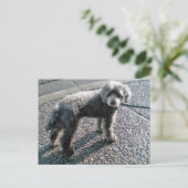 ルイスはがきという犬 ポストカード (スタンド正面)