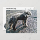 ルイスはがきという犬 ポストカード (正面/裏面)