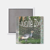 ルイスビル動物園の動物ラインナップCRANE, PEACOCK マグネット (正面/裏面)