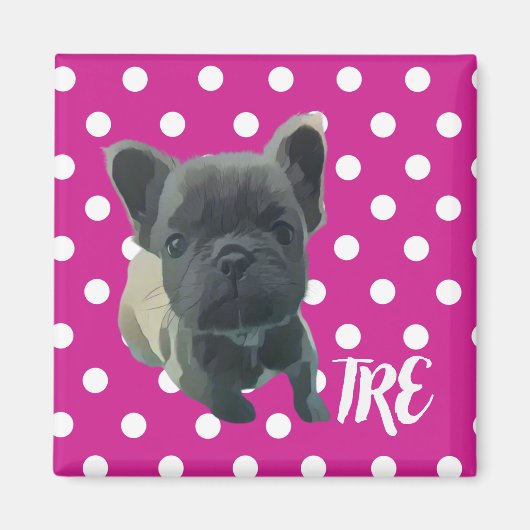 ルイス磁石 – 救助に20%寄付 マグネット (正面)