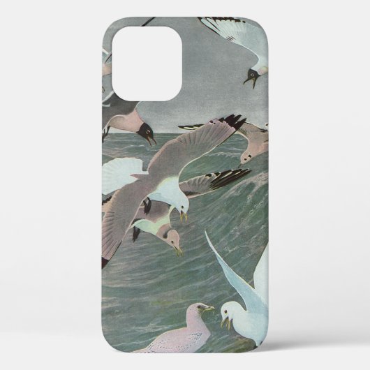 ルイス・アガシズ・フエルテスによる海波上のアホウドリ Case-Mate iPhoneケース (裏面)