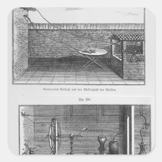 ルイス・ガルヴァニによるカエル実験 スクエアシール (正面)