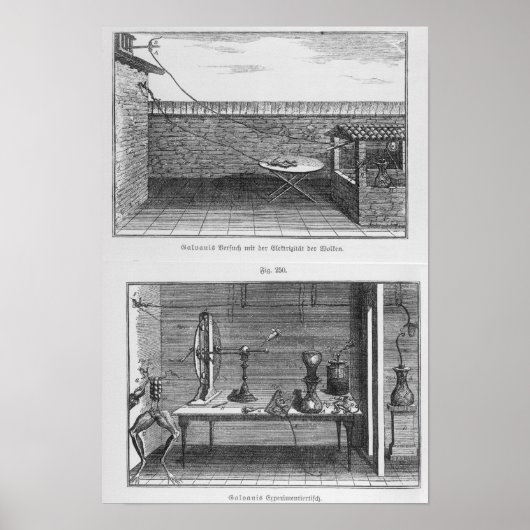 ルイス・ガルヴァニによるカエル実験 ポスター (正面)