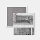 ルイス・ガルヴァニによるカエル実験 マグネット (正面/裏面)